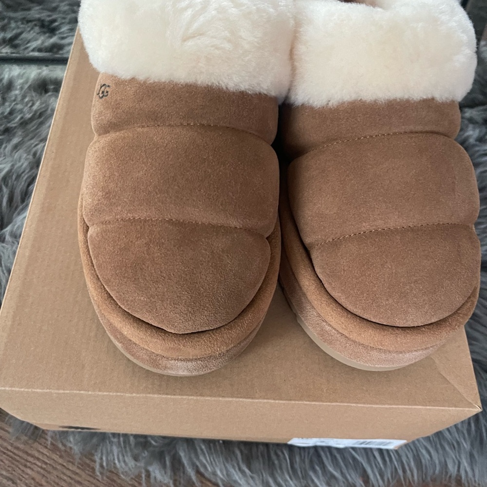 🟫🟤 Chestnute Ugg Tazzlita 🥾